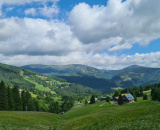 103fb0f37e.jpg