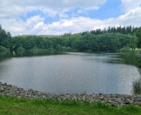22fa96b669.jpg