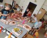 
                                                    img-červen 2018-3
                        