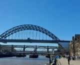 3814613469.jpg