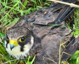 3dcd3839bc.jpg
