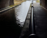 41216973b5.jpg