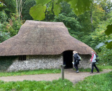 
                                                    img-Weald and Downland Living Museum-5
                        