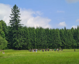 67c6635e34.jpg