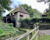 
                                                    img-Weald and Downland Living Museum-9
                        