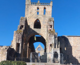 79745e3755.jpg