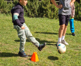 89590d7d80.jpg
