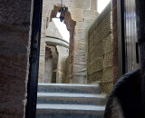 8ff2515307.jpg