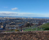 9052d02247.jpg