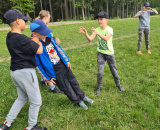 c9e646e279.jpg