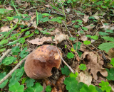 e040fa8048.jpg